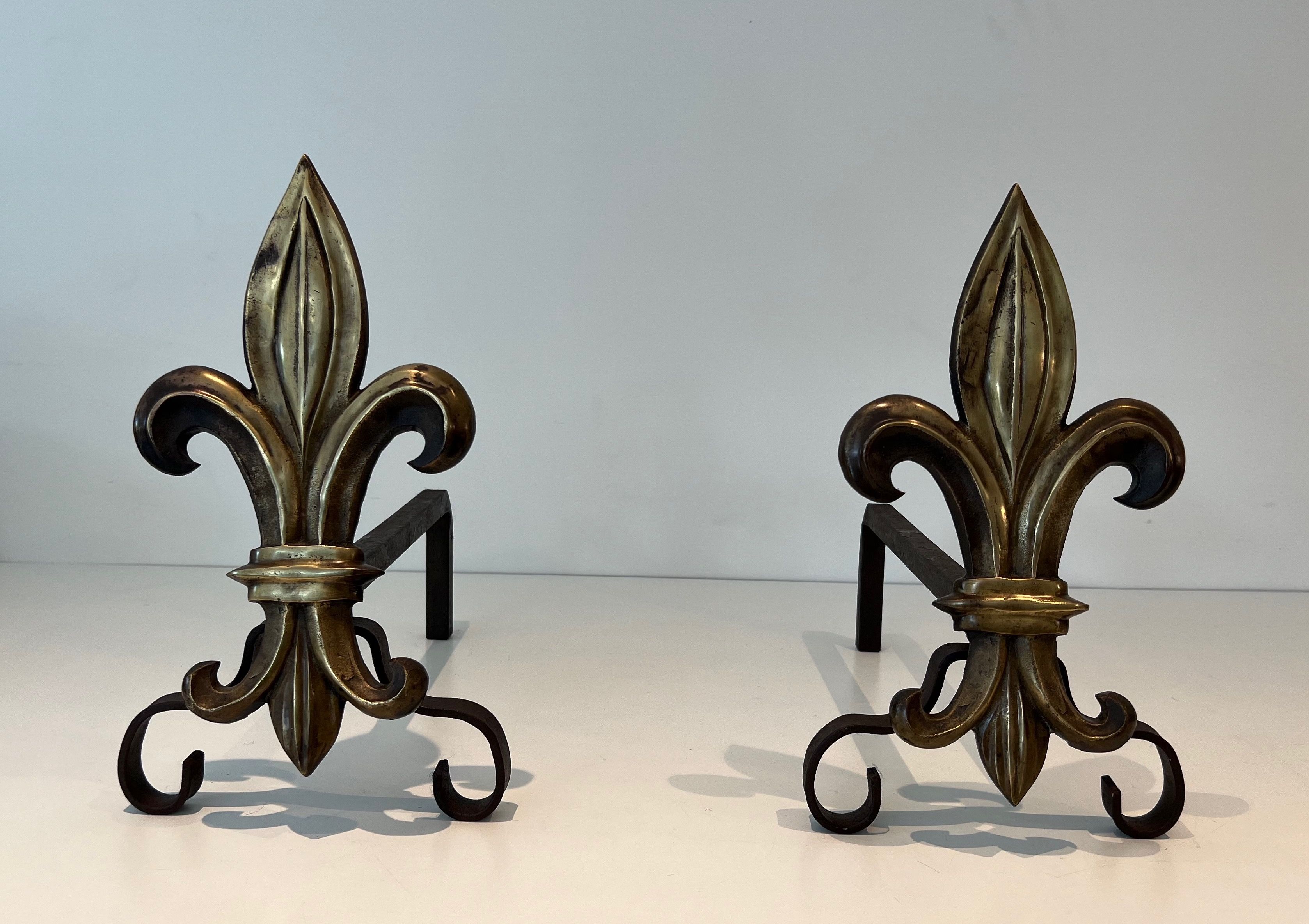 Pair of Bronze and Wrought Iron Andirons with a Lily Flower