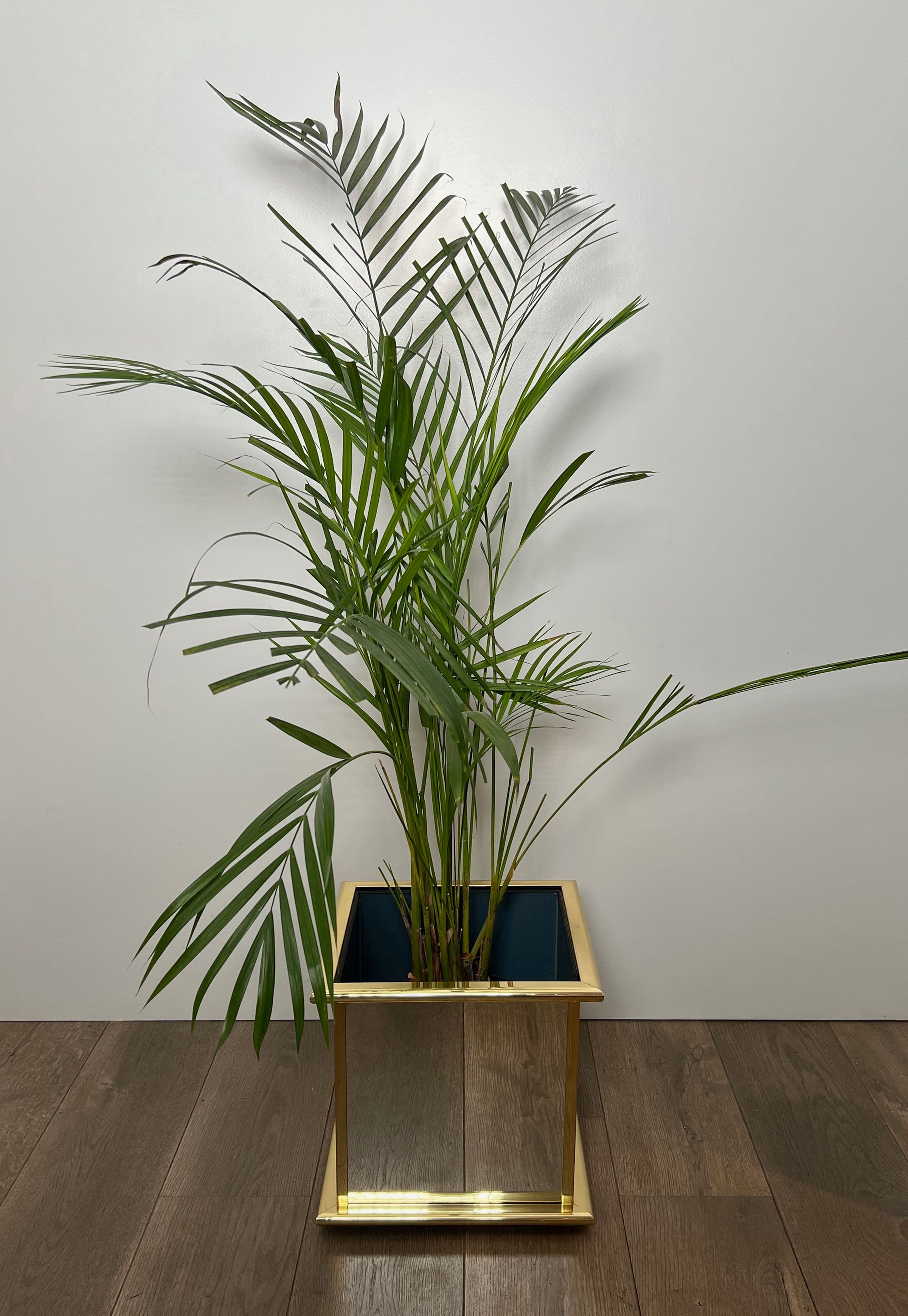 Mirror and Gilt Metal Planter