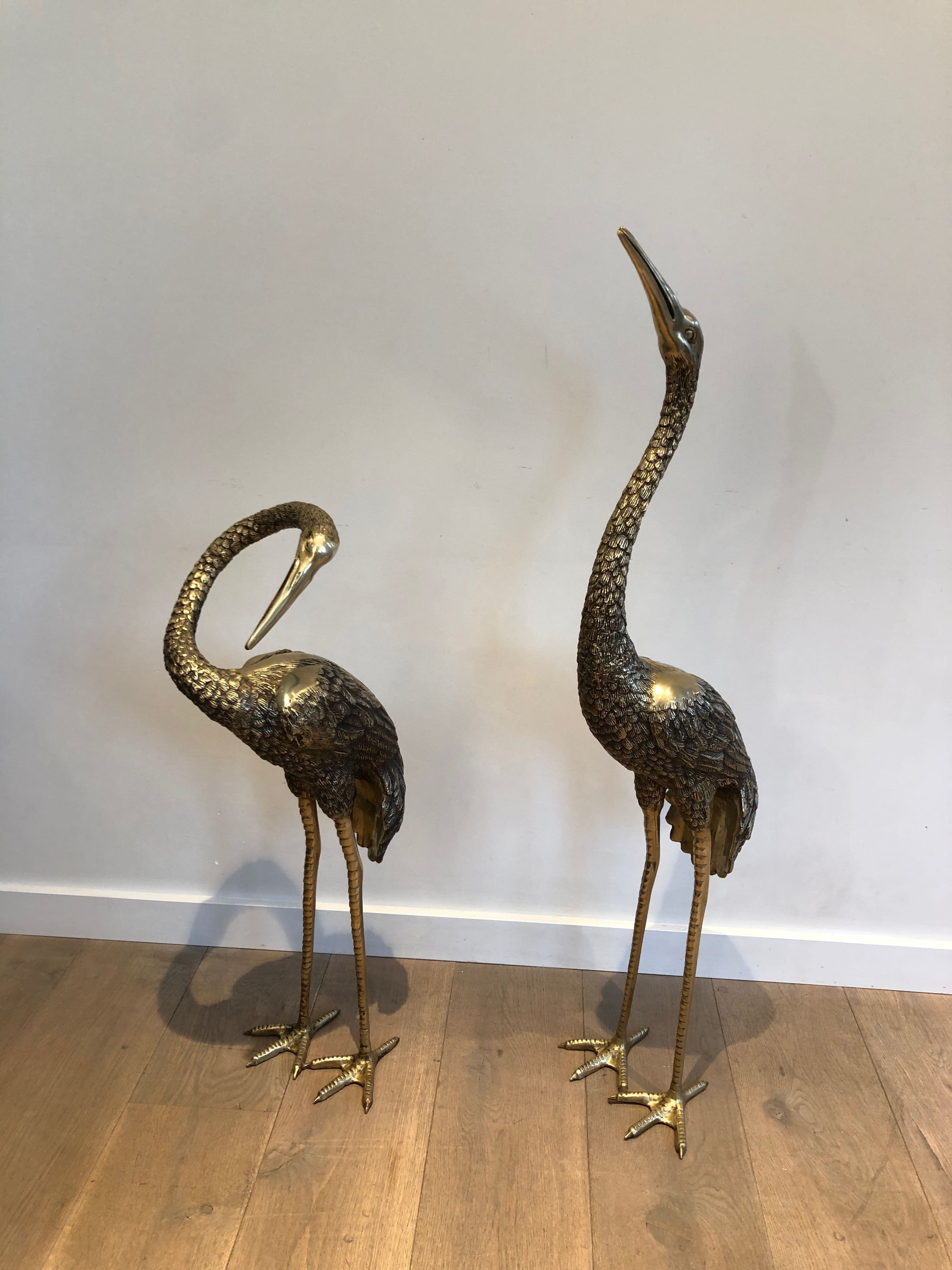 Pair of Large Bronze Birds