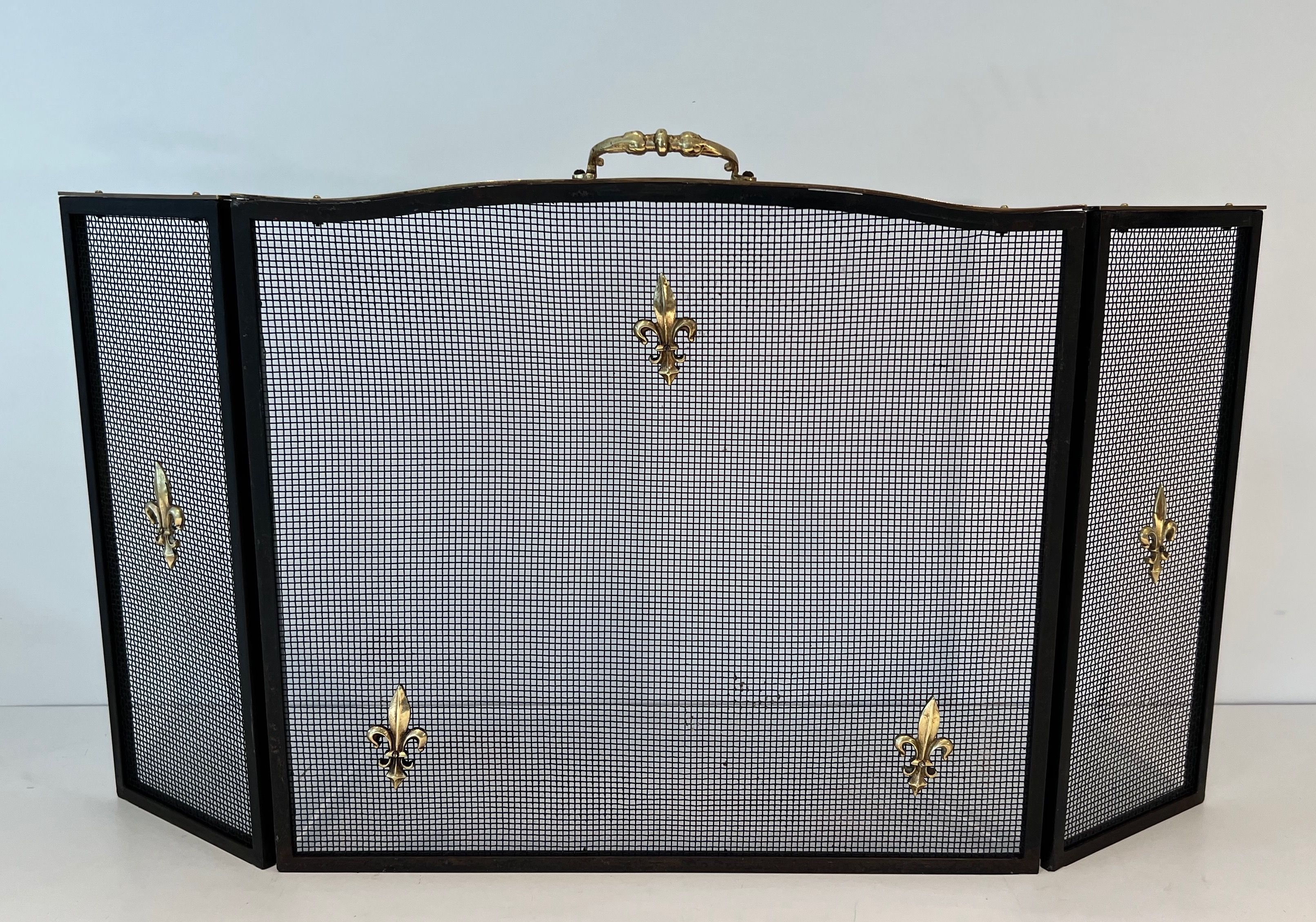 Neoclassical Style Steel, Brass and Grilling Fireplace Screen with Lily Flowers