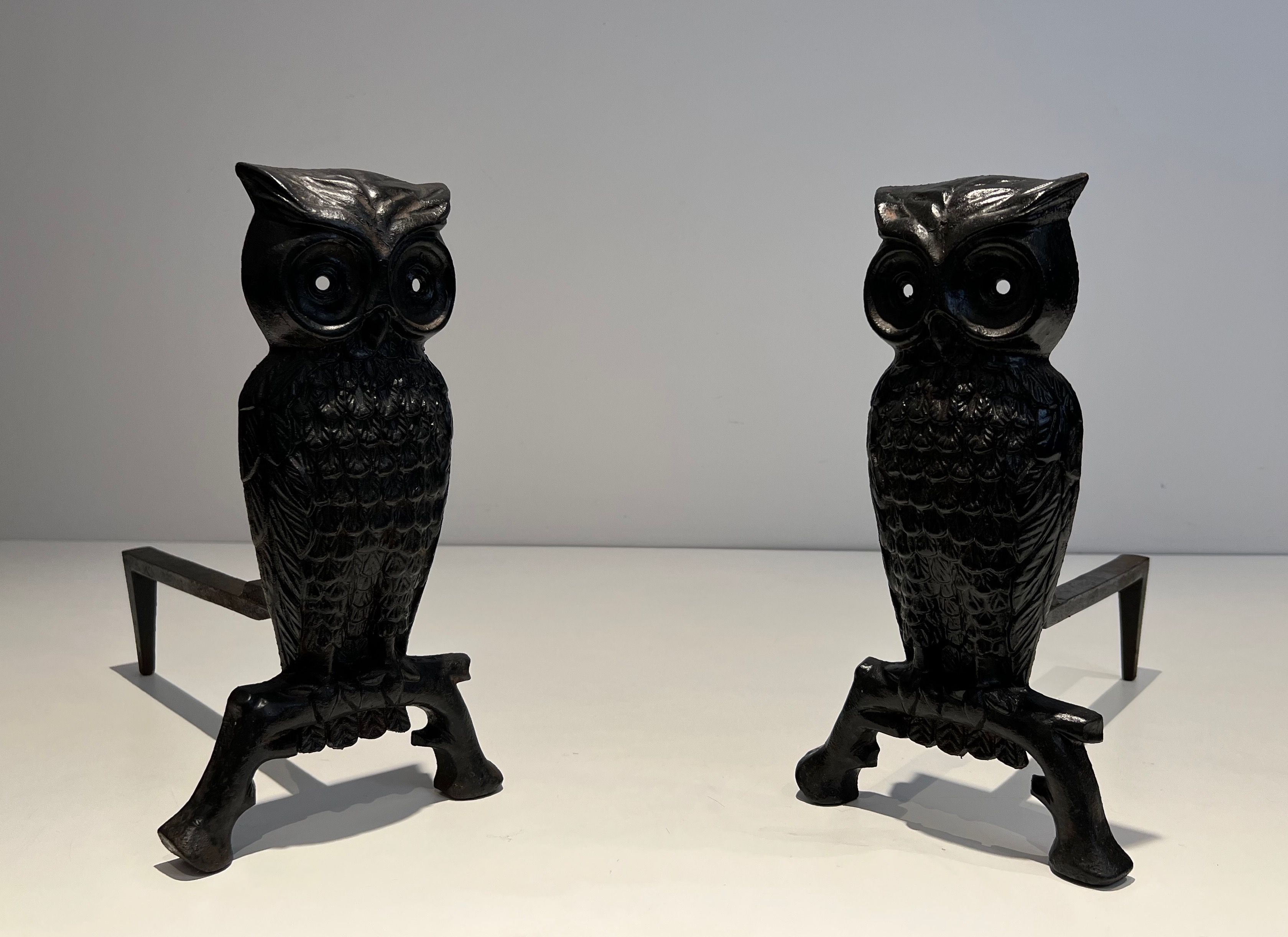 Pair of Cast Iron and Wrought Iron Andirons showing an Owl