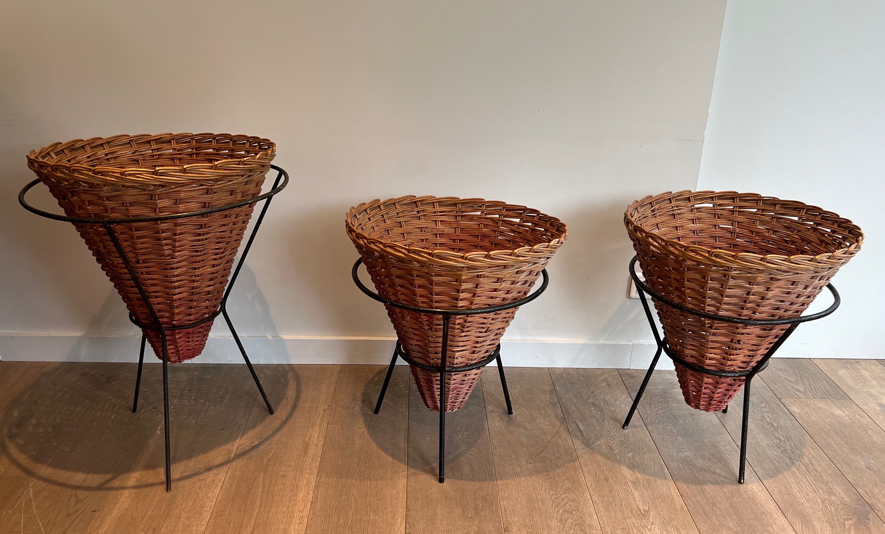 Set of Three Black Lacquered Metal and Rattan Planters