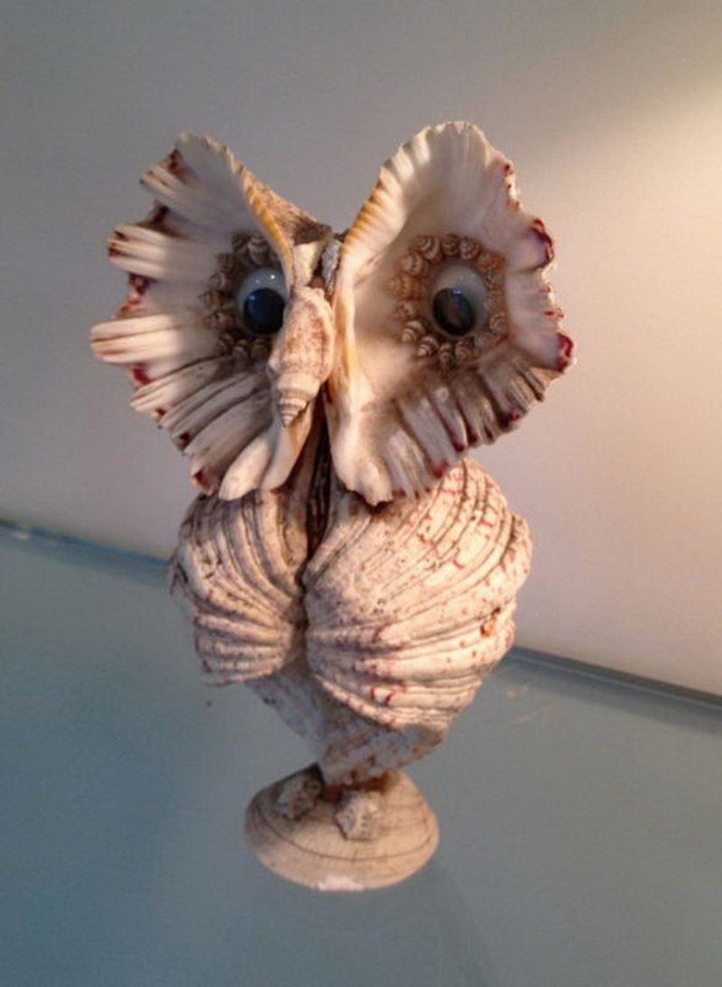 Unique owl made of shells with moving eyes