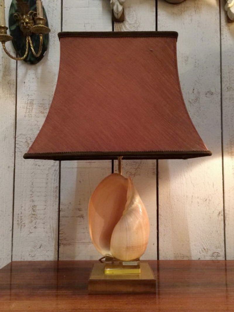 Shell put into lamp