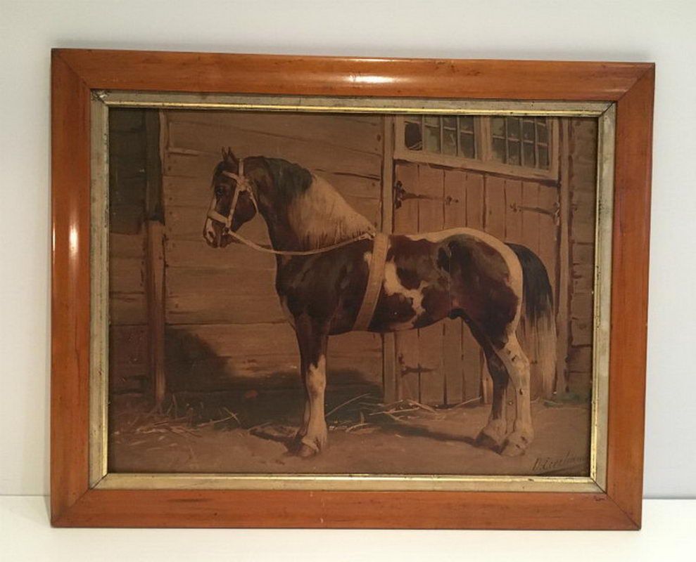 Tableau d'un Cheval. D Eerelmans