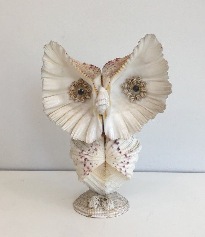 Funny Owl made of Shells