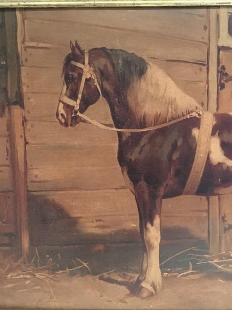 Tableau d'un Cheval. D Eerelmans