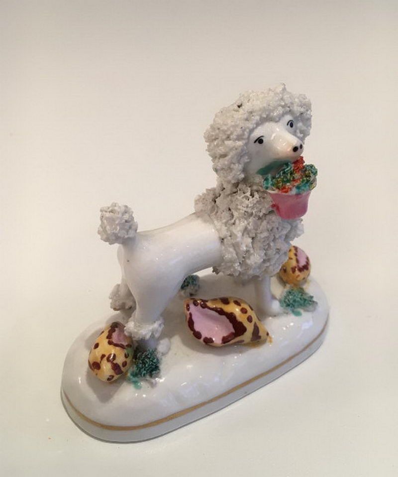 Caniche en Porcelaine. Staffordshire