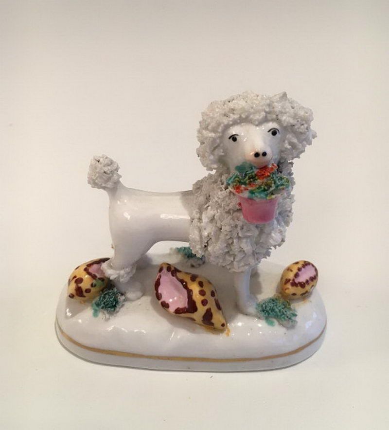 Caniche en Porcelaine. Staffordshire