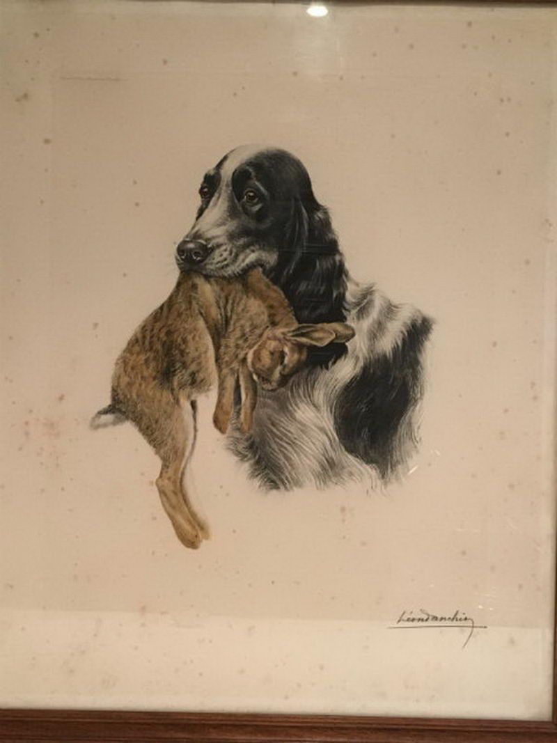 Lithographie Couleur d'un Setter Anglais et Lapin. Léon Danchin ((1887-1938)