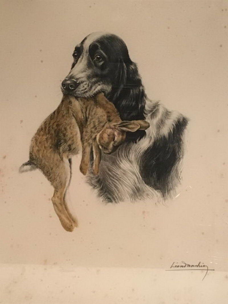 Lithographie Couleur d'un Setter Anglais et Lapin. Léon Danchin ((1887-1938)
