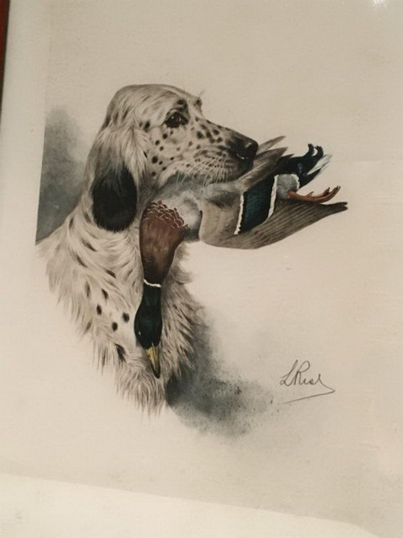 Lithographie d'un Setter Anglais et d'un Canard