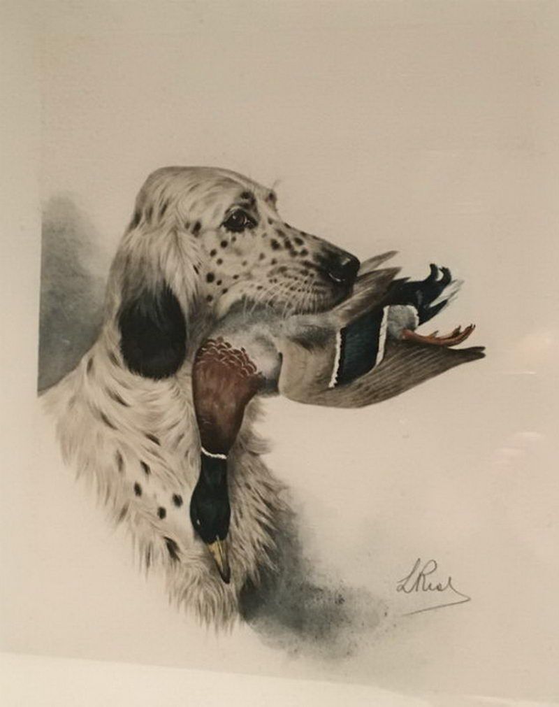 Lithographie d'un Setter Anglais et d'un Canard