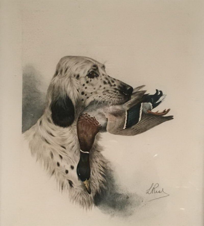 Lithographie d'un Setter Anglais et d'un Canard