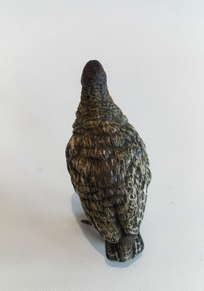 Bronze Viennois représentant un Pigeon