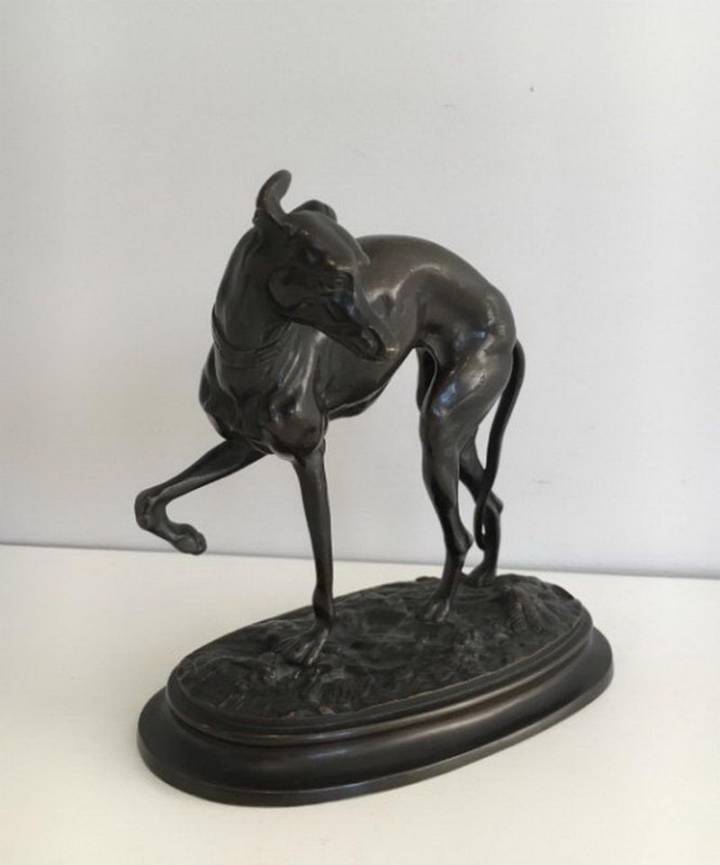 Sculpture d'un Grand lévrier en Bronze. Pierre-Jules Mène (1810-1879)