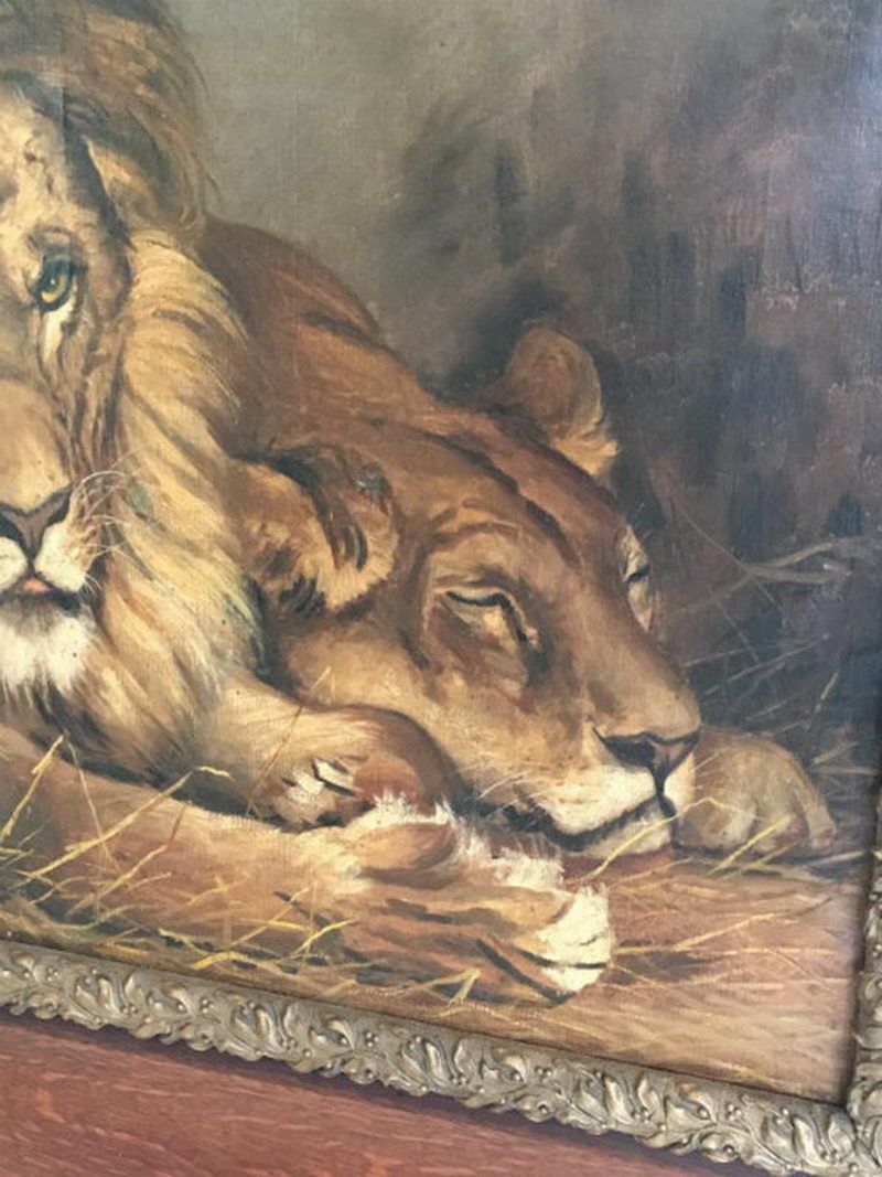 Peinture d'un Lion et d'une Lionne. Geza Vastagh (1866-1919)