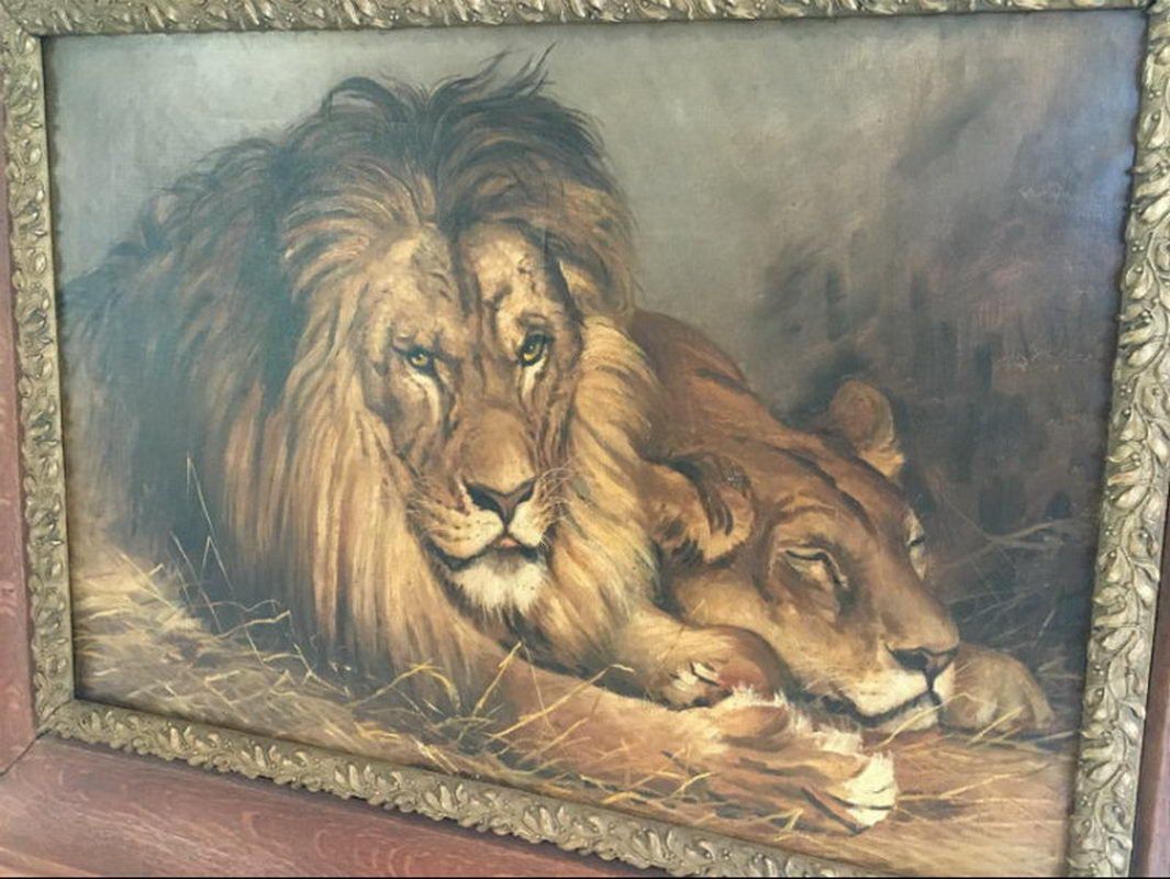 Peinture d'un Lion et d'une Lionne. Geza Vastagh (1866-1919)