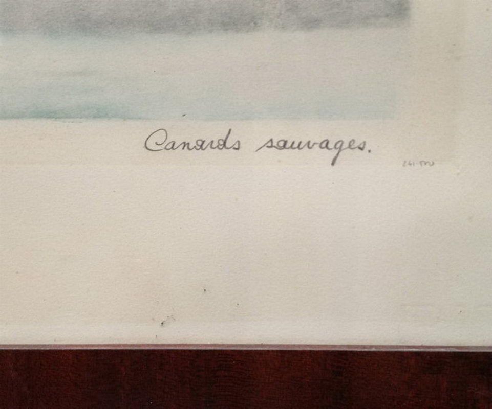 Gravure "Canard Sauvages de Léon Danchin". Signé et numéroté