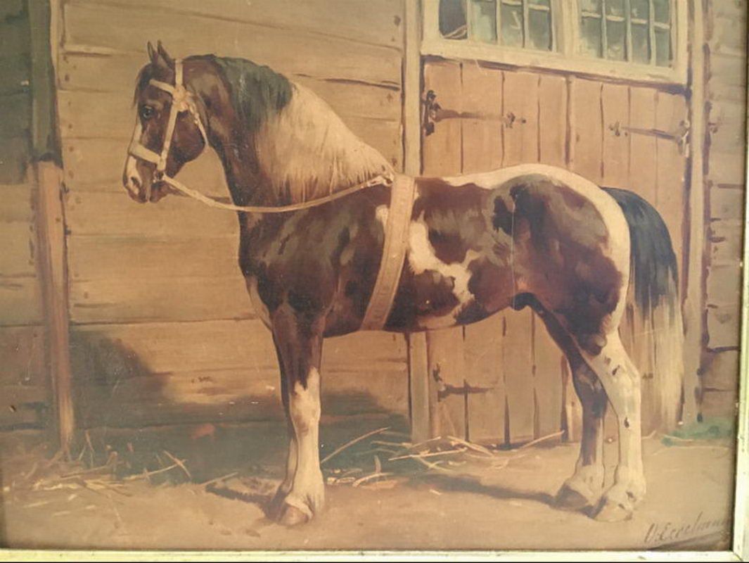 Tableau d'un Cheval. D Eerelmans