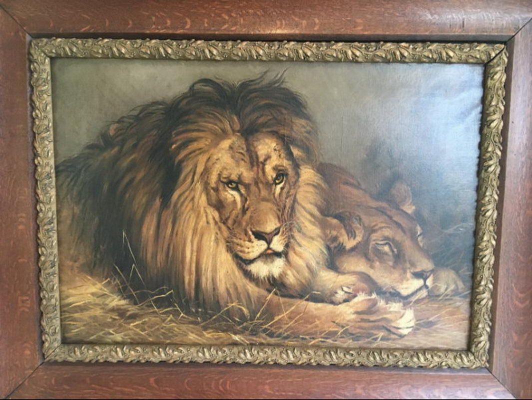 Peinture d'un Lion et d'une Lionne. Geza Vastagh (1866-1919)