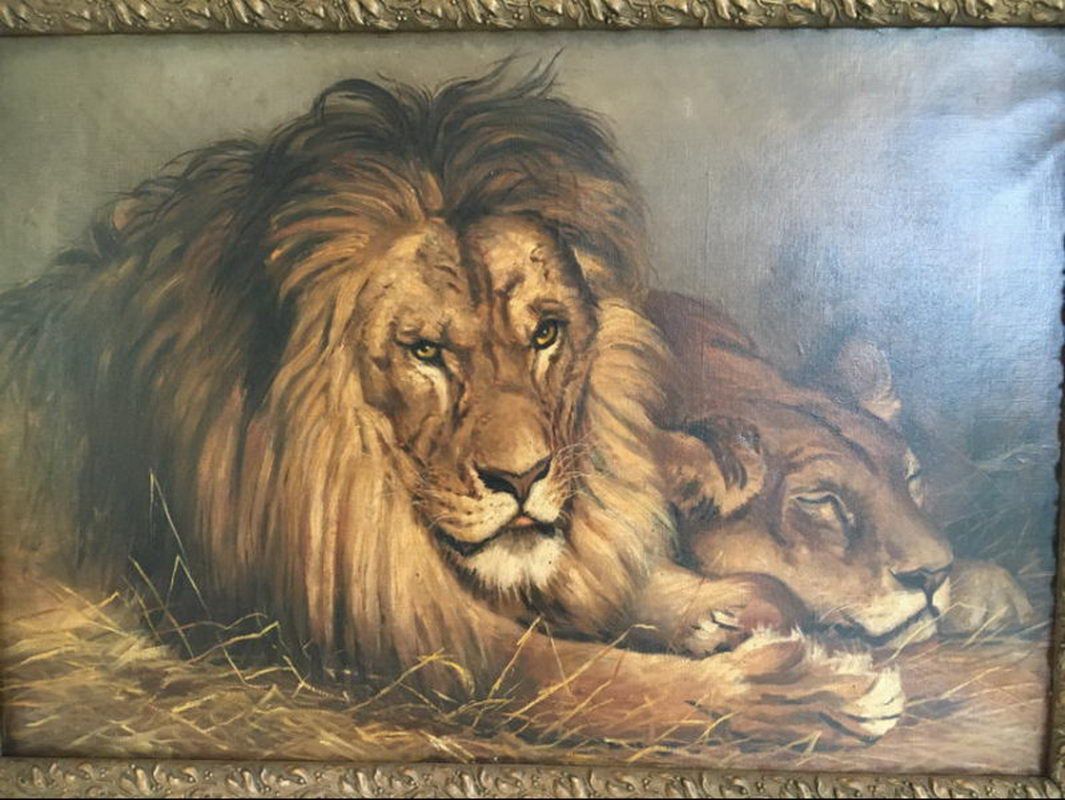 Peinture d'un Lion et d'une Lionne. Geza Vastagh (1866-1919)